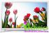 LED Телевизор SAMSUNG UE32F4510