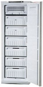 Морозильная камера INDESIT SFR 167 NF