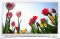 LED Телевизор SAMSUNG UE22H5610